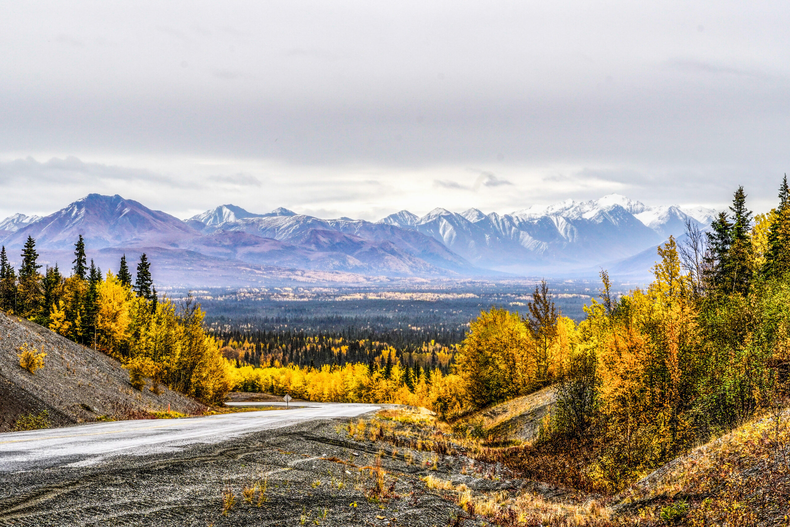Snow,Capped,Mentasta,Mountains,And,Fall,Colored,Forest,Seen,From